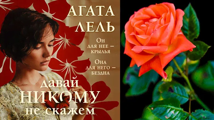 Давай никому не скажем  (Агата Лель) Аудиокнига